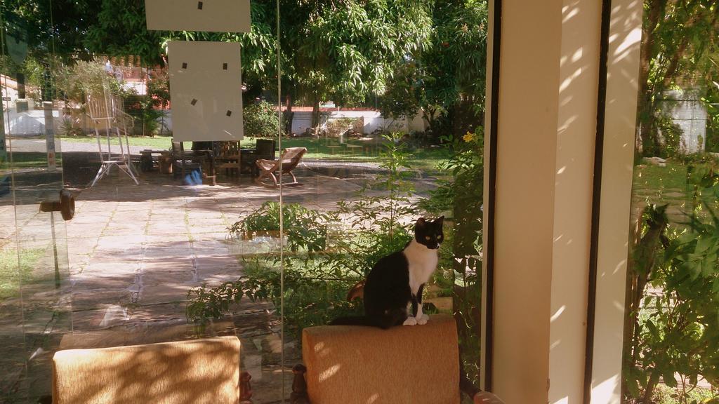 Posada Shalom Asuncion Exteriör bild