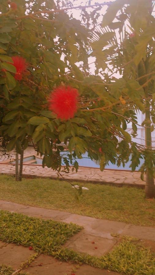 Posada Shalom Asuncion Exteriör bild